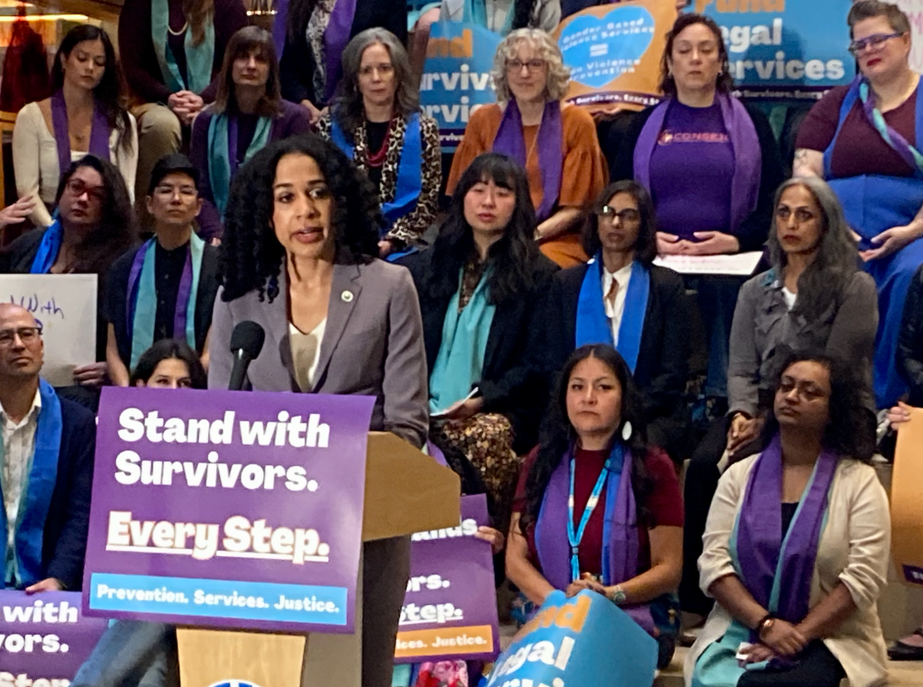 Council Budget Fizz: Rinck Wants to Fund Survivor Services, Saka Wants to Defund Restrooms, and Strauss Says the Mayor Is Weak on Homelessness